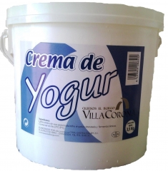Crema de yogur hosteleria 3,5kg