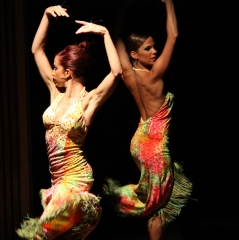 Barcelona flamenco - foto 2