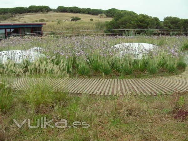 Alfombras de Madera para Exteriores