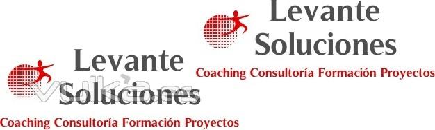 www.levantesoluciones.es