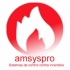 AMSYSPRO S. L.