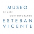 MUSEO DE ARTE CONTEMPORNEO ESTEBAN