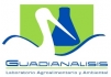 GUADIANÁLISIS