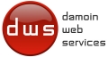 DAMOIN WEB SERVICES. Un nuevo rumbo para su negocio