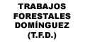 TRABAJOS FORESTALES DOMNGUEZ (T.F.D.)