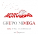 GRUPO MIMEGA CONTROL DE RIESGOS EMPRESARIALES