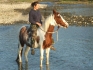 equinatural