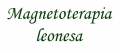 Magnetoterapia Leonesa