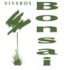 Viveros Bonsai S.A