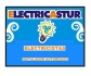 ELECTRICASTUR