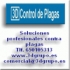 3D Control de Plagas Valencia