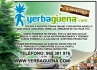 Yerbagena Grow Shop