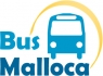 Bus Mallorca alquiler bus y minibus