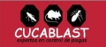 Cucablast: expertos en control de plagas