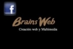 brainsweb