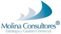 MOLINA CONSULTORES Antonio Molina Anton