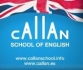 Callan School