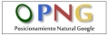 Posicionamiento Natural Google