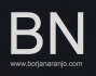 BN| asesor y gestor de páginas web