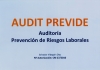 AUDIT PREVIDE | Auditoria Prevencion de Riesgos Laborales