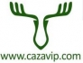 Cazavip