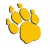 The Tiger Wear