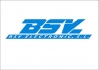 BSV Electronic SL
