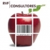 RVF CONSULTORES