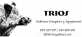 TRIOS GABINETE