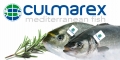 Grupo Culmárex