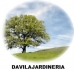 Davilajardineria