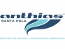 ANTHIAS SANTA POLA - Centro de Buceo y Educación Ambiental