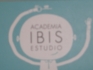 Academia Ibis Estudio
