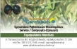 Olive Harvesters of Crete