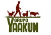 Grupo Yaakun Palma de Mallorca