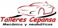 TALLERES CEPANSA