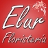 Elur Floristera