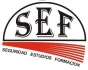 Seguridad Estudios Formación