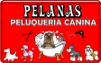 PELANAS Peluqueria Canina