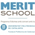 Merit School