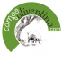 campooliventino.com