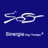 Sinergia Dog Therapy