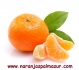 Naranjaspalmasur.com Venta on-line