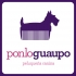 Ponlo Guaupo - Peluquera Canina