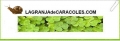 LAGRANJAdeCARACOLES.COM