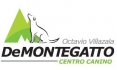 Centro Canino De Montegatto