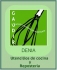 Gaudir