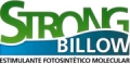 Strong Billow España