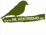Silvestrismo.net