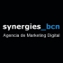 Synergies Bcn Agencia de Marketing Digital
